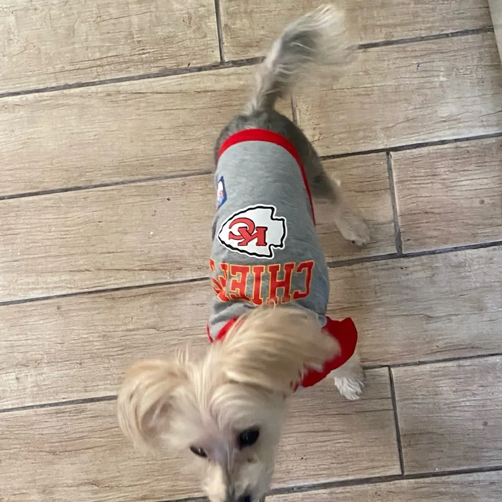 Boo & NFL Pup Jerseys